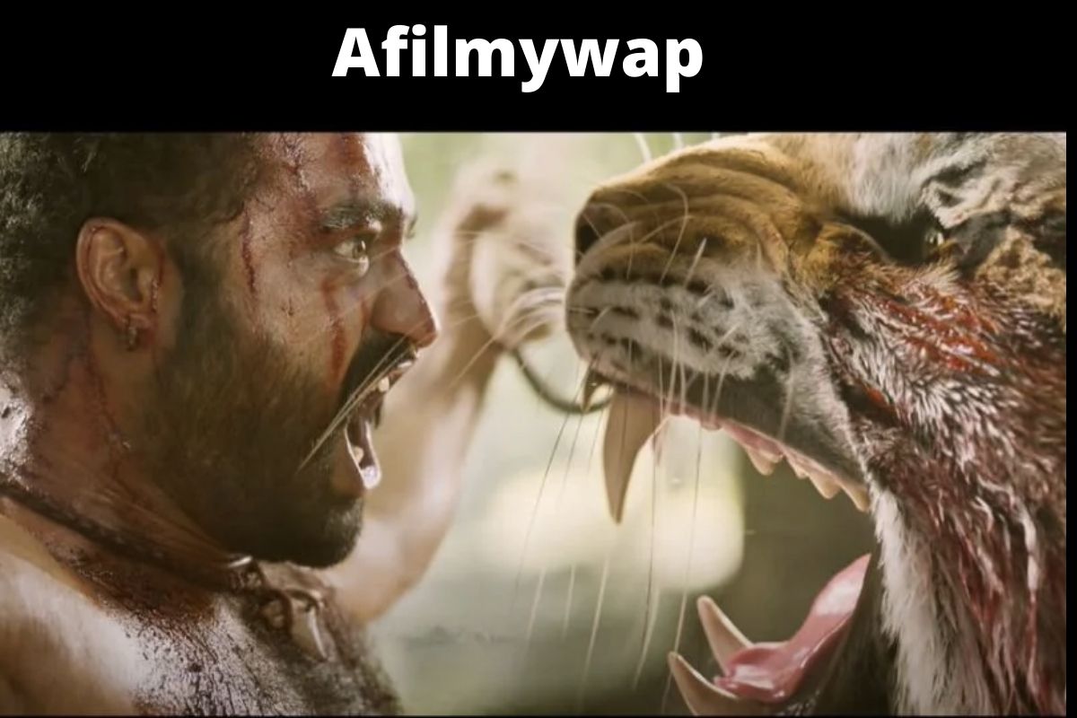 afilmywap