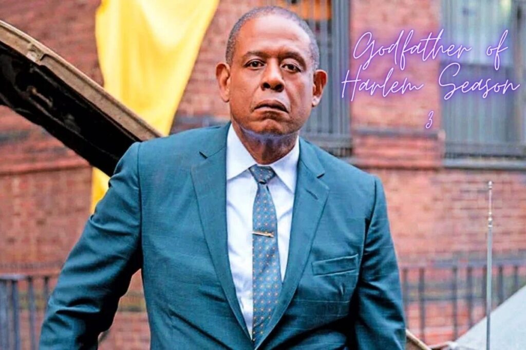 Godfather of Harlem Season 3