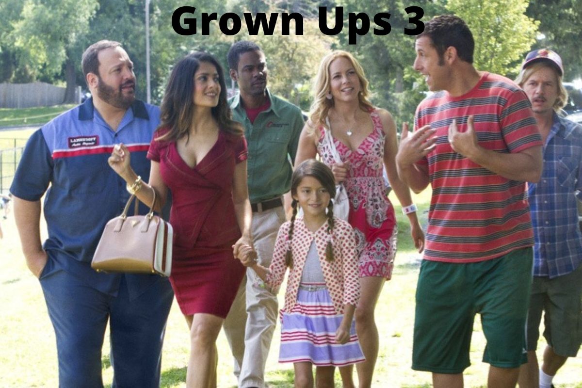 Grown Ups 3