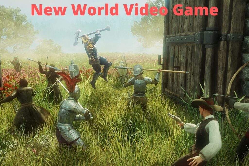 New World Video Game