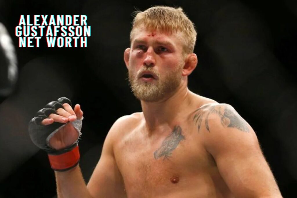 Alexander Gustafsson Net worth