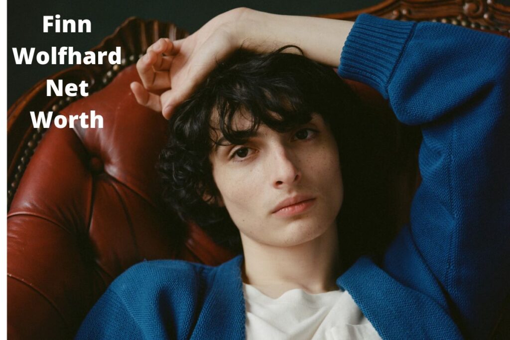 Finn Wolfhard Net Worth