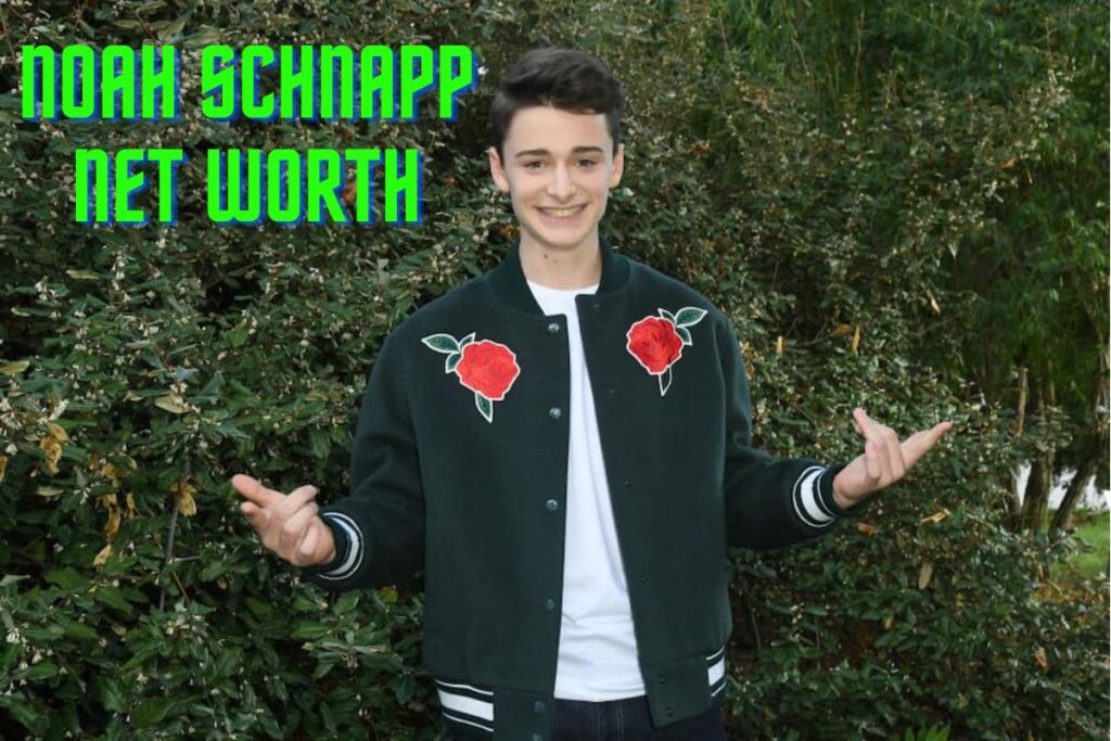 Noah Schnapp Net Worth