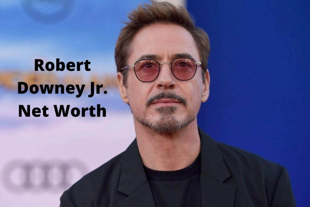 Robert Downey Jr. Net Worth