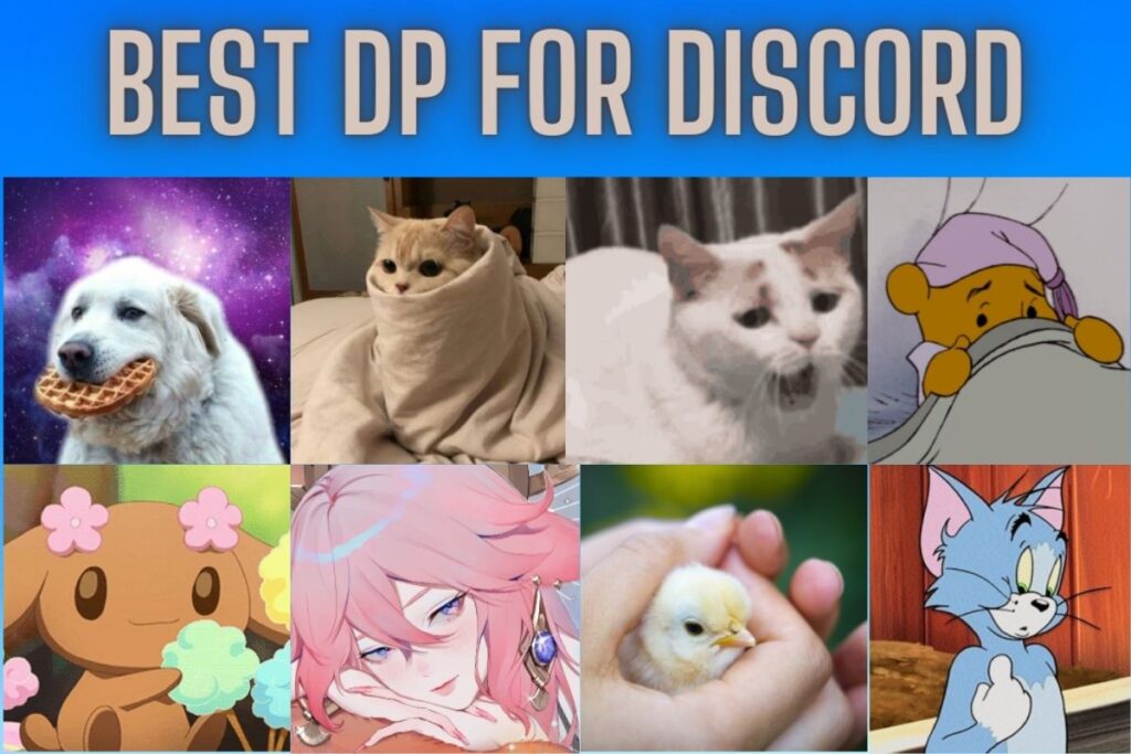 27 Best Discord Profile Pictures