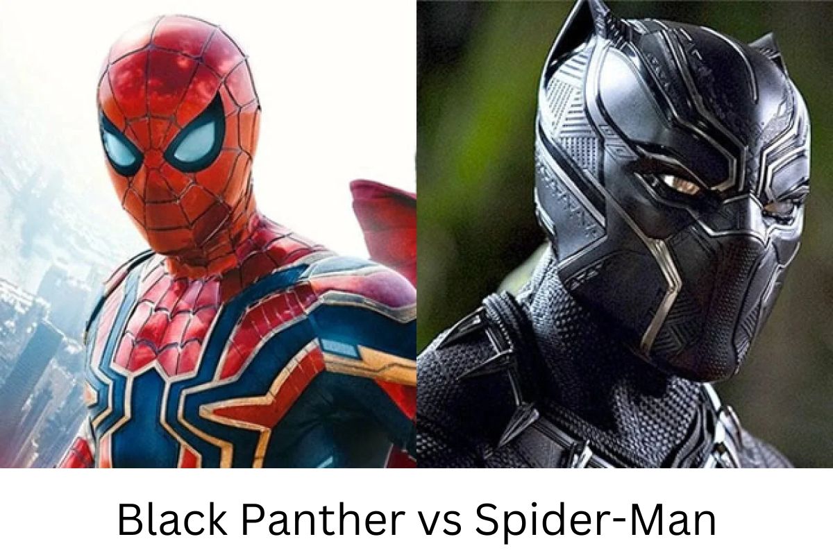 Black Panther vs Spider-Man