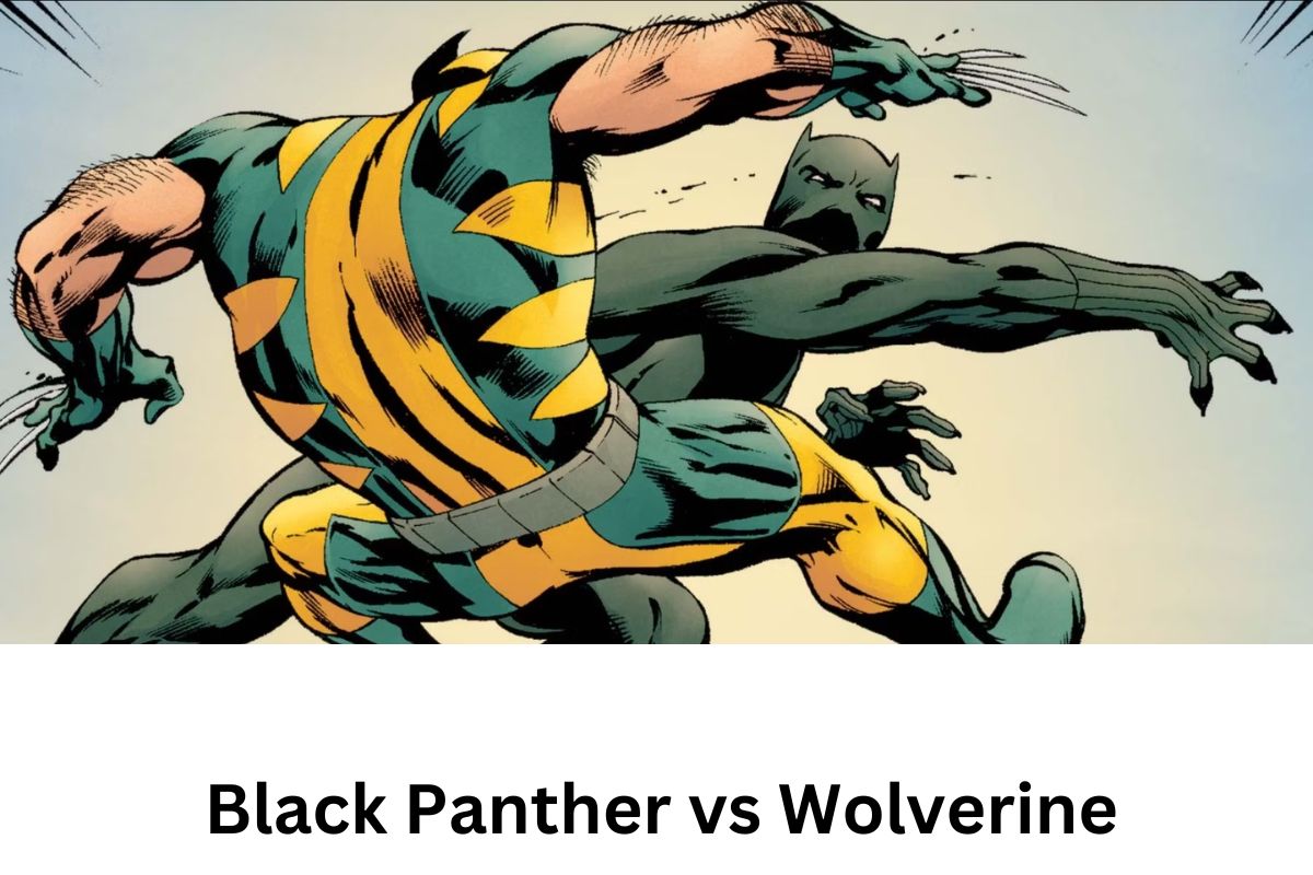 Black Panther vs Wolverine