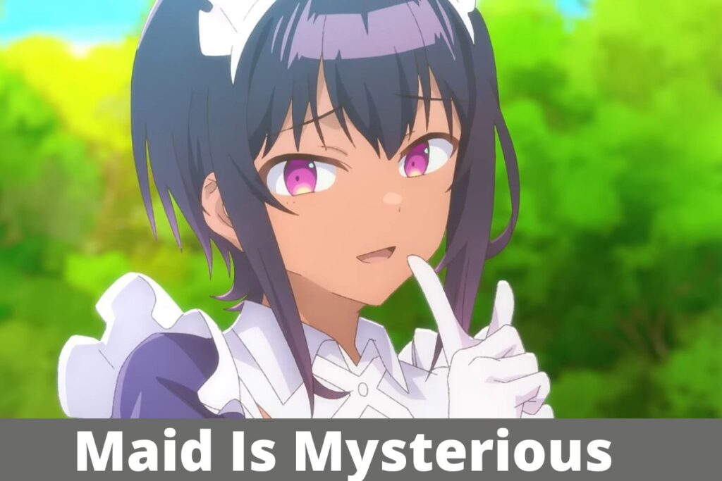 Maid Is Mysterious