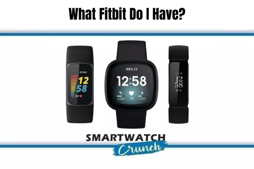 WHAT FITBIT DO I HAVE?