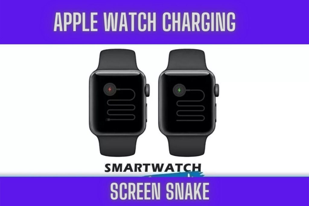 apple watch charging screen snake