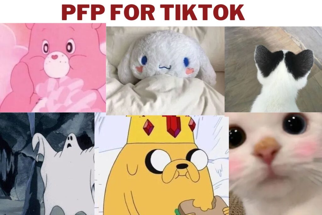 pfp for tiktok