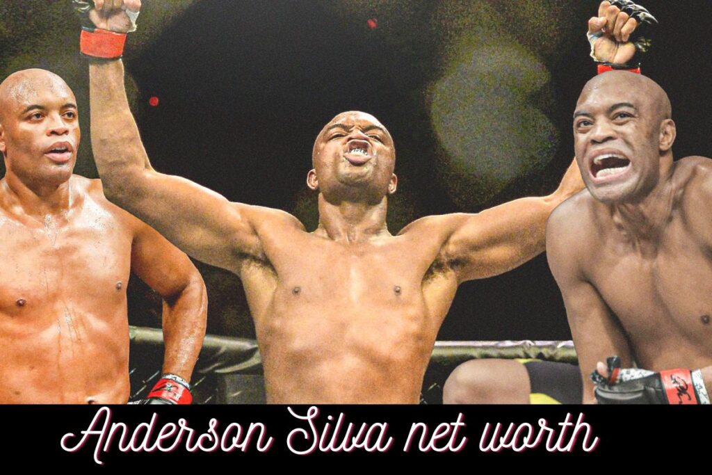 Anderson Silva net worth