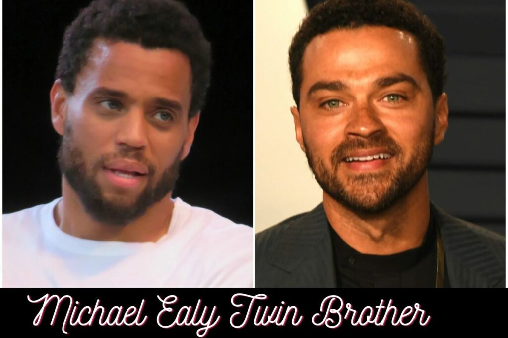 Michael Ealy Twin Brother