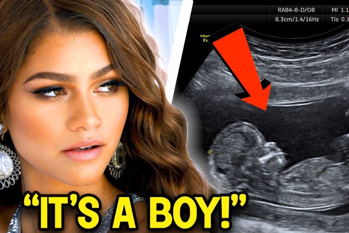 Zendaya Pregnant