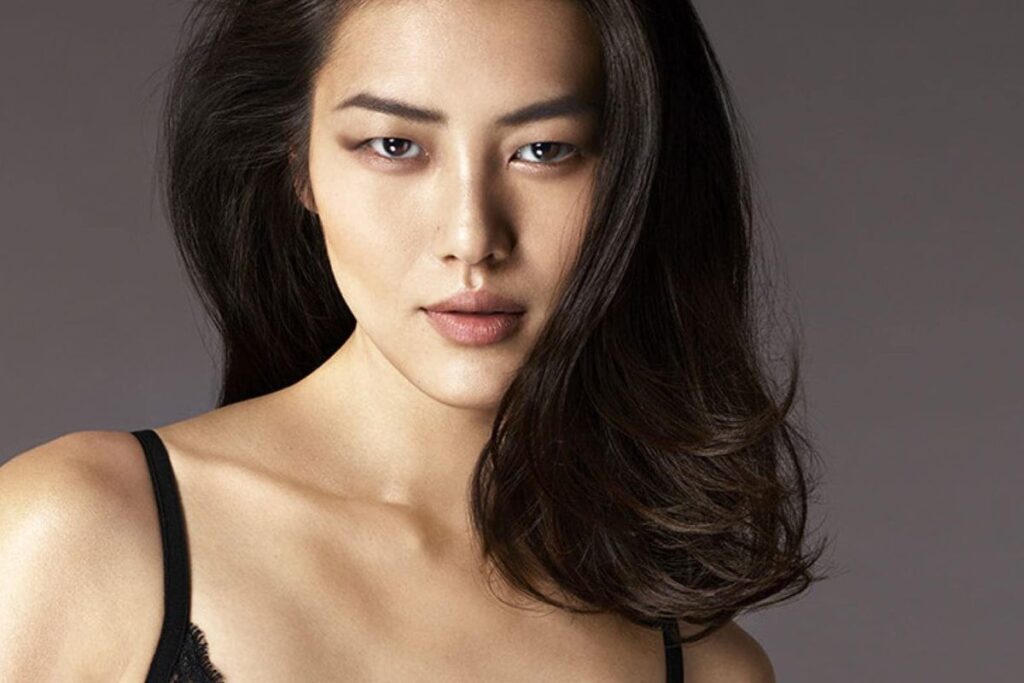 Liu Wen Net Worth