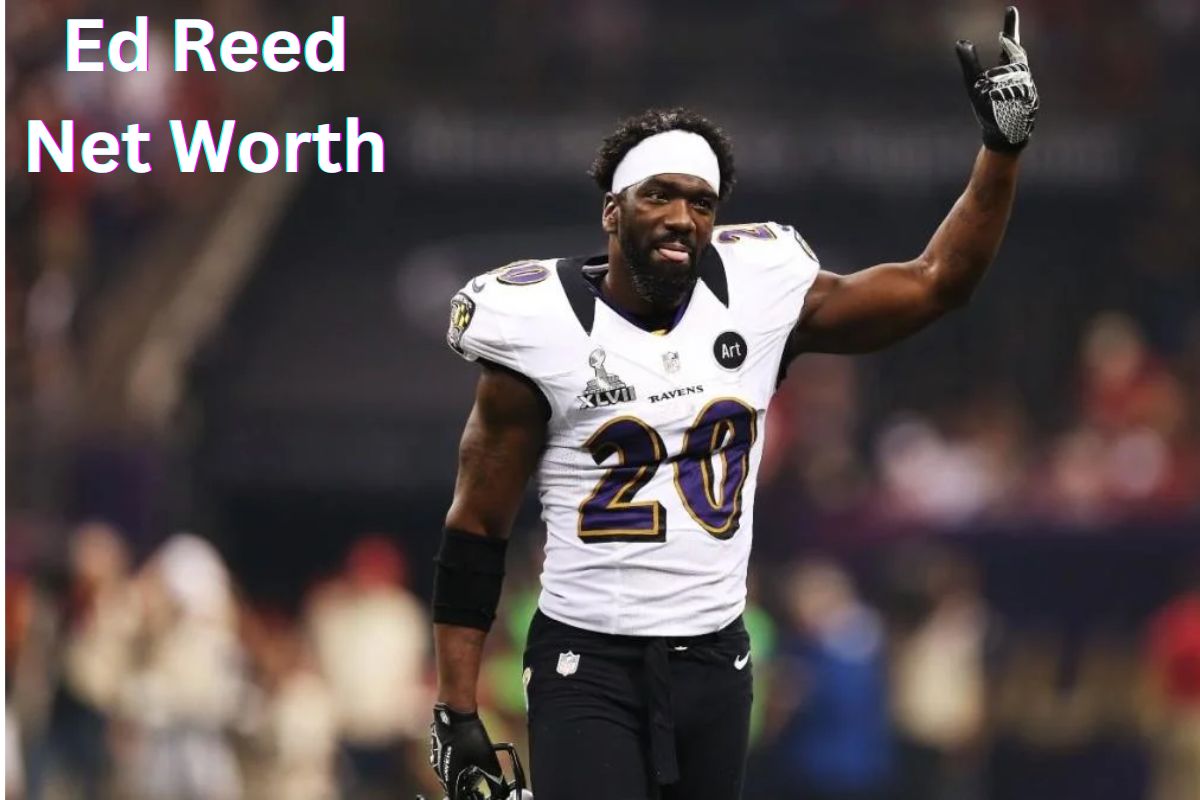 Ed Reed Net Worth