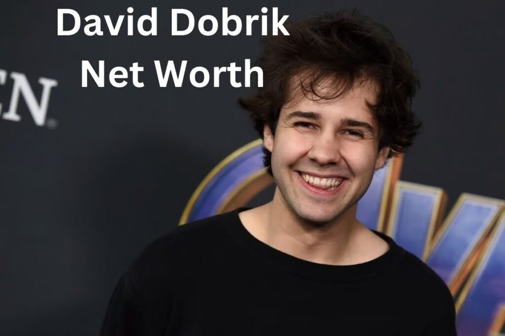 David Dobrik Net Worth