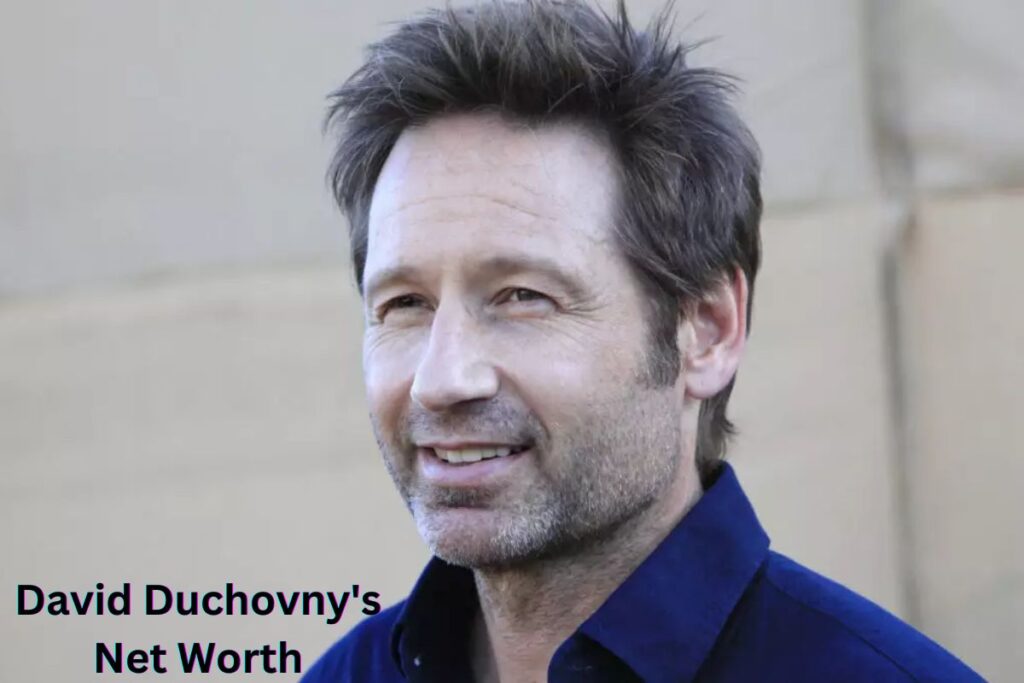 David Duchovny's Net Worth