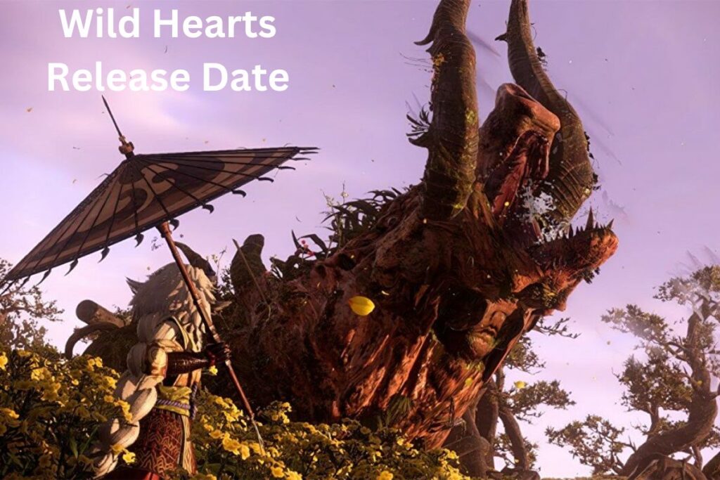 Wild Hearts Release Date