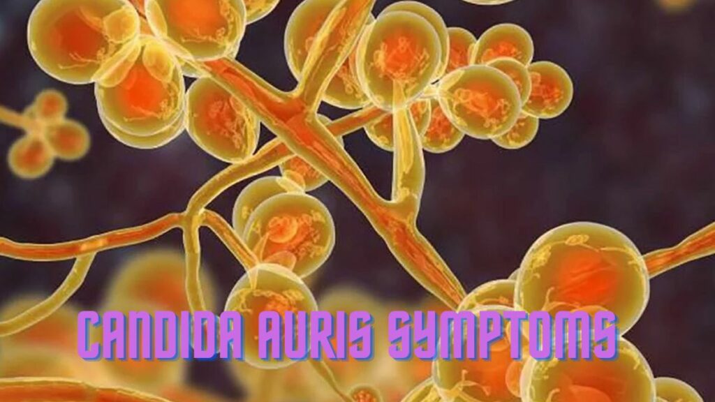 Candida Auris Symptoms