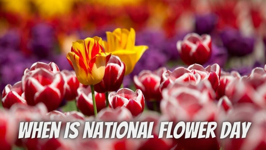 When Is National Flower Day